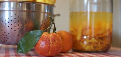 Самогон апельсиновый Самогон апельсиновый